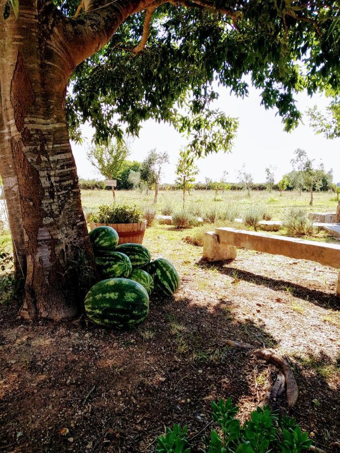 Masseria Cataldo Corigliano dʼOtranto Екстериор снимка