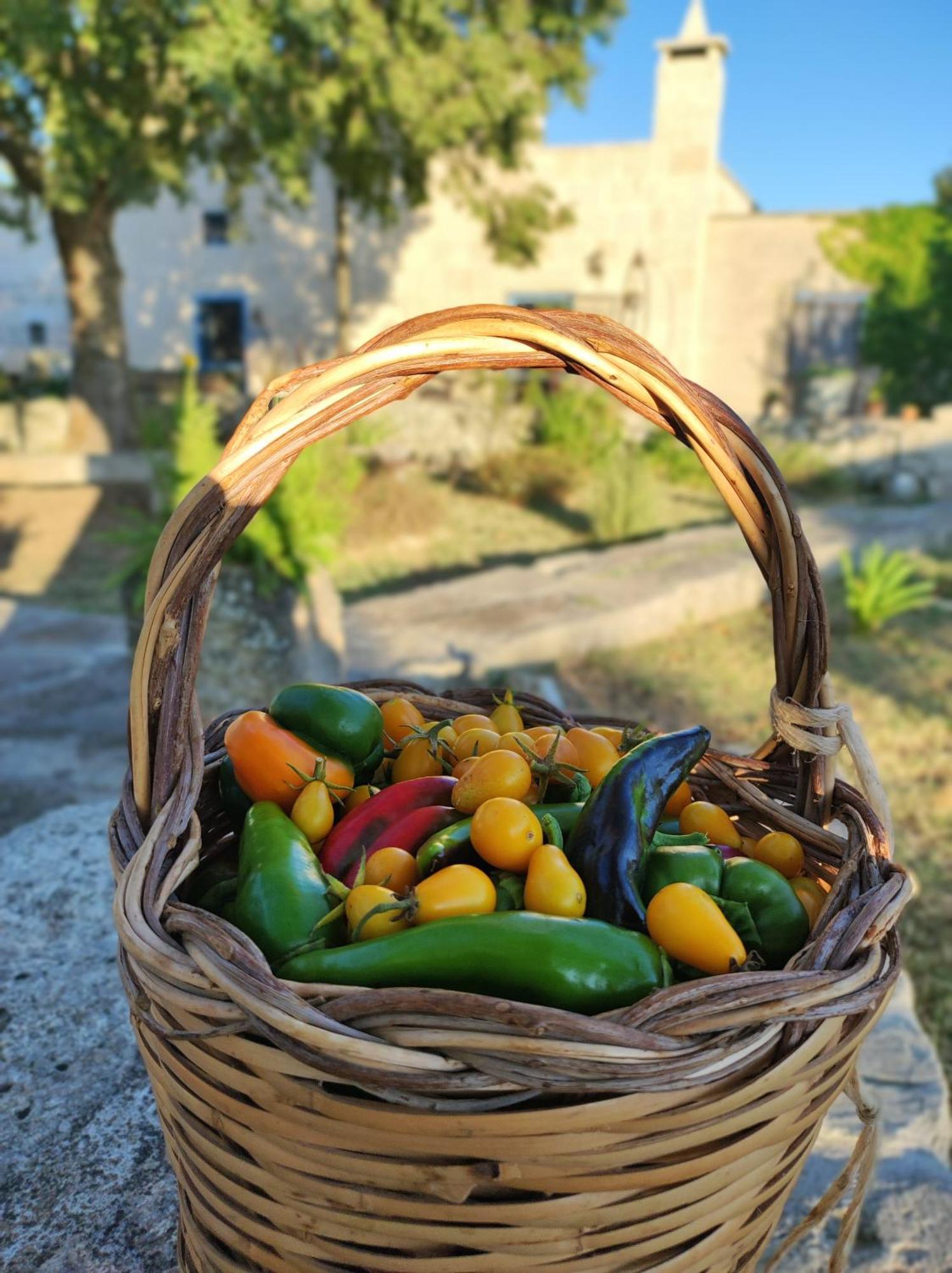 Masseria Cataldo Corigliano dʼOtranto Екстериор снимка