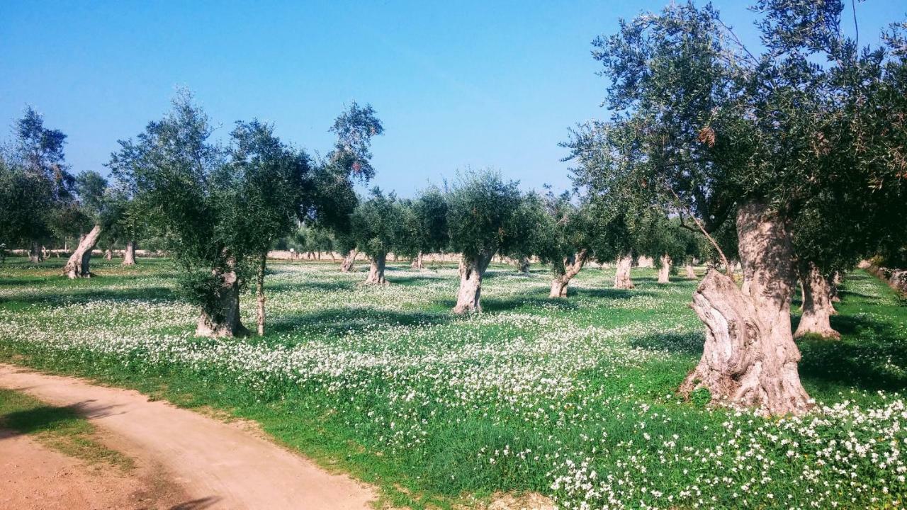 Masseria Cataldo Corigliano dʼOtranto Екстериор снимка